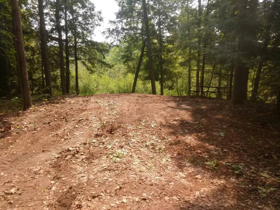 763 W Deer Run Road, Free Soil, MI 49411 - #3