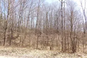 23098 Miramichi Drive, Evart, MI 49631