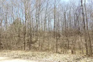 23098 Miramichi Drive, Evart, MI 49631 - #2