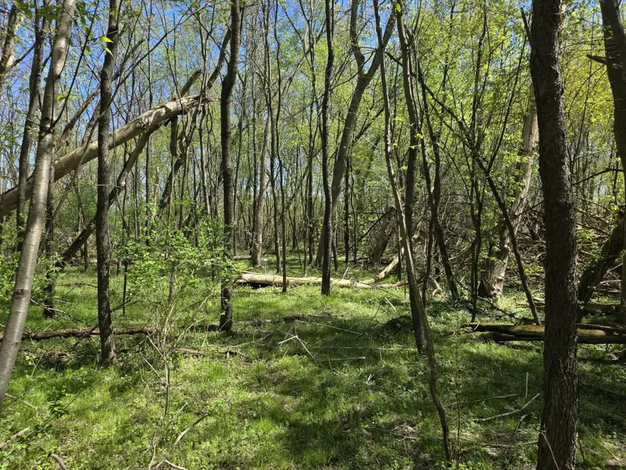 V/l Bellevue, Bellevue, MI 49021 - #2