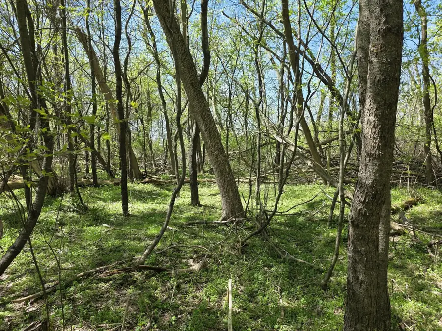 V/l Bellevue, Bellevue, MI 49021 - #3