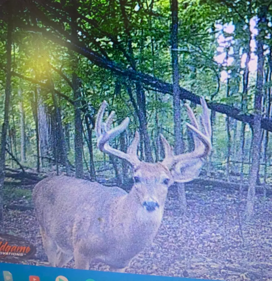 12390 Holibaugh Road, Springport, MI 49284 - #2