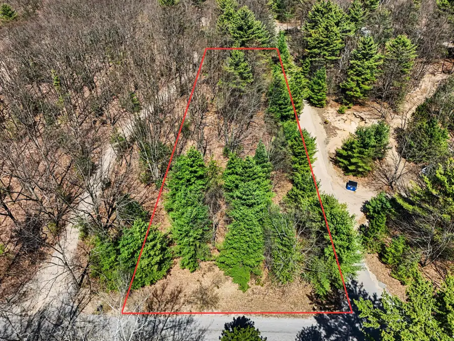 N Juniper Street, Mears, MI 49436 - #3