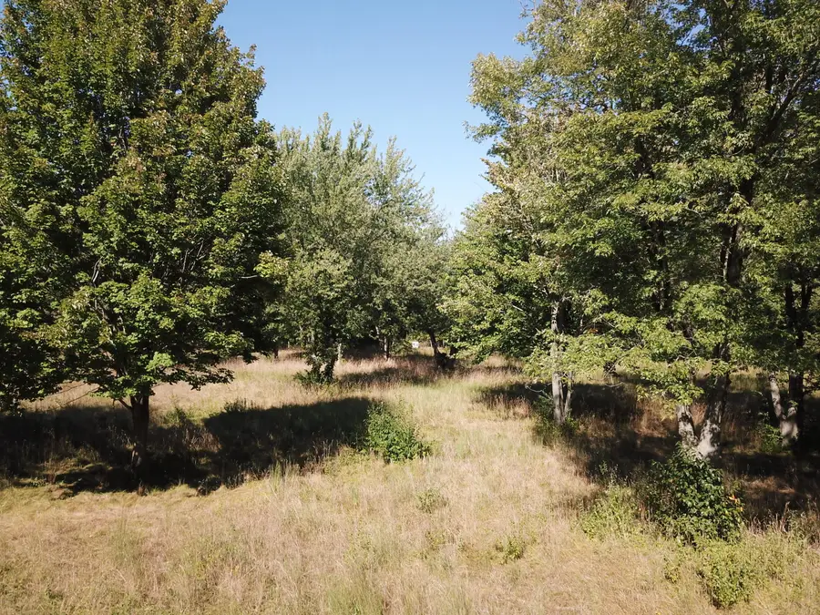 1853 W John Beers Road, Stevensville, MI 49127 - #2