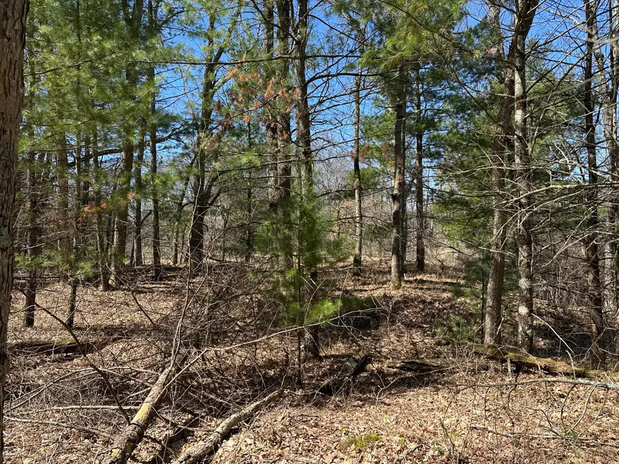 00 S Dillard Street, Baldwin, MI 49304 - #3