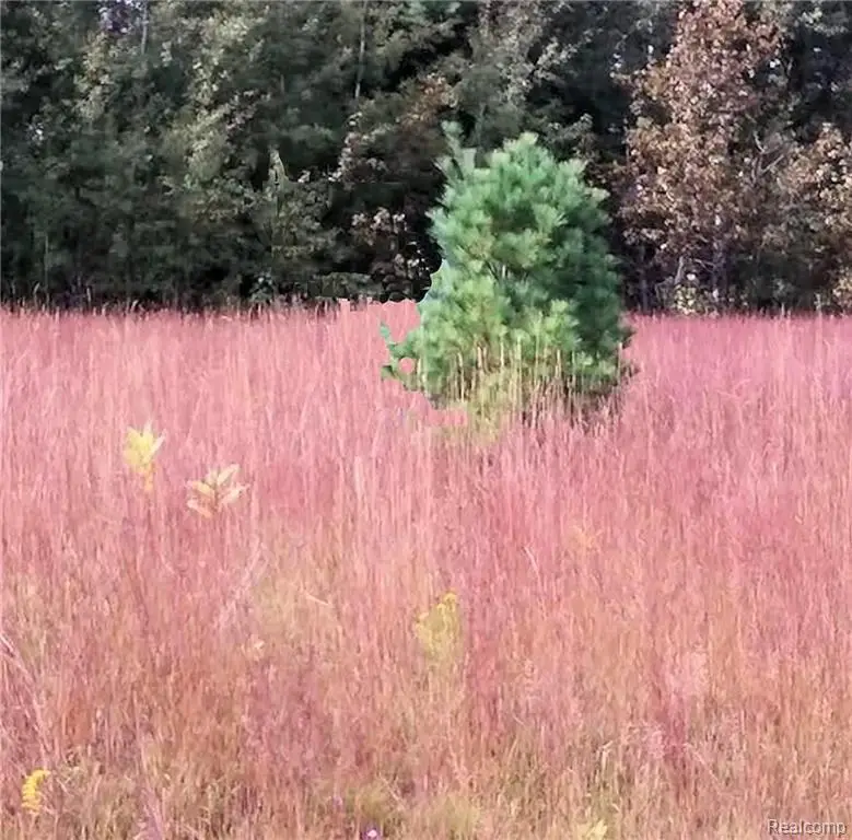 Westwood Drive, Oscoda, MI 48750 - #1