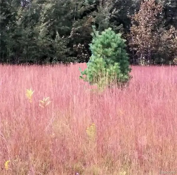 Westwood Drive, Oscoda, MI 48750