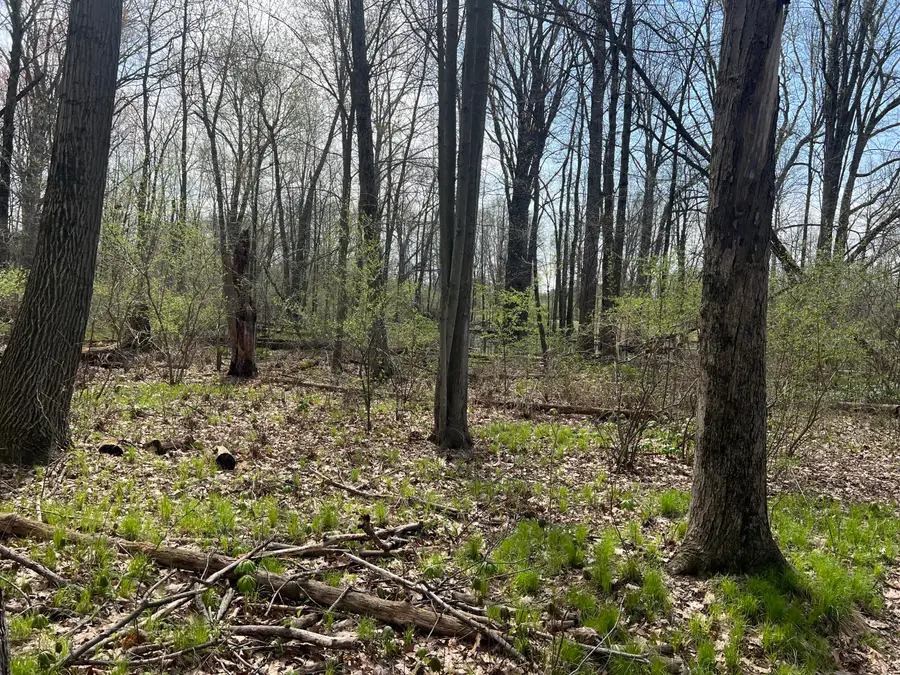 Waterloo Munith Road, Grass Lake, MI 49240 - #3