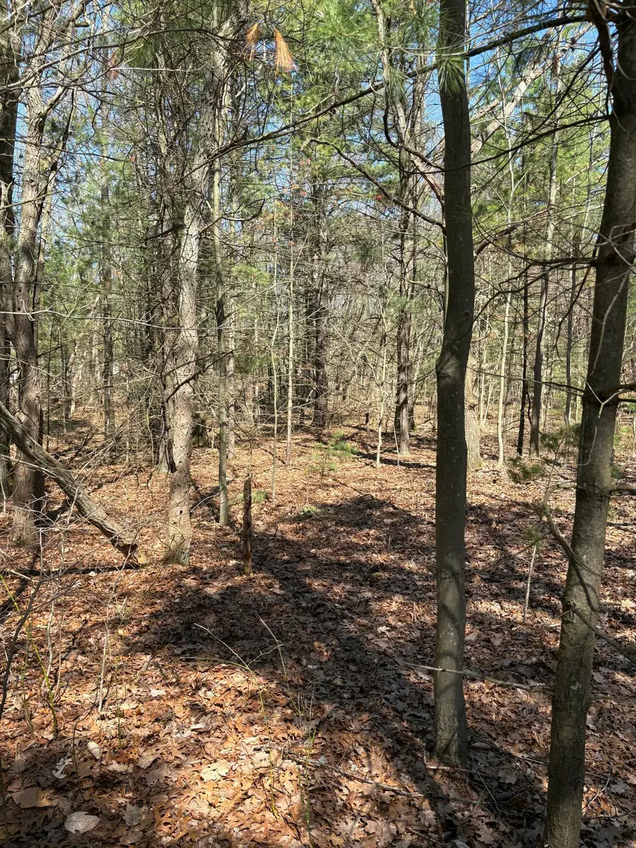 V/L Fenner Road, Muskegon, MI 49445 - #2