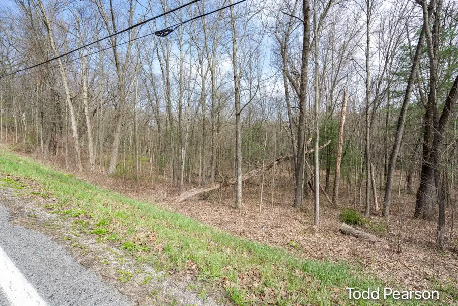 10971 Foreman Street Se, Lowell, MI 49331 - #2