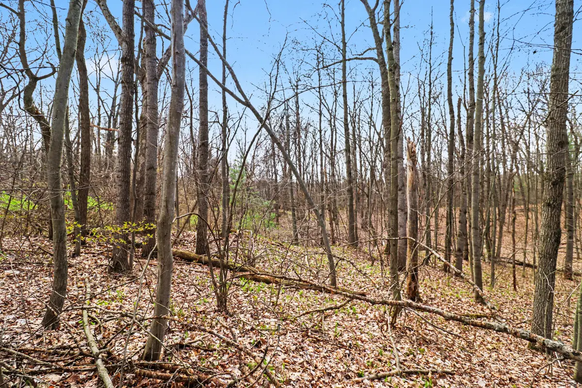 6940 19 Mile Road Ne, Cedar Springs, MI 49319 - #1