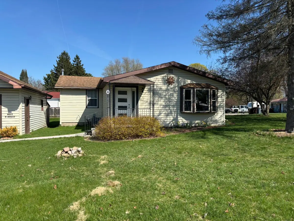 228 W Forest Street, Edmore, MI 48829 - #1