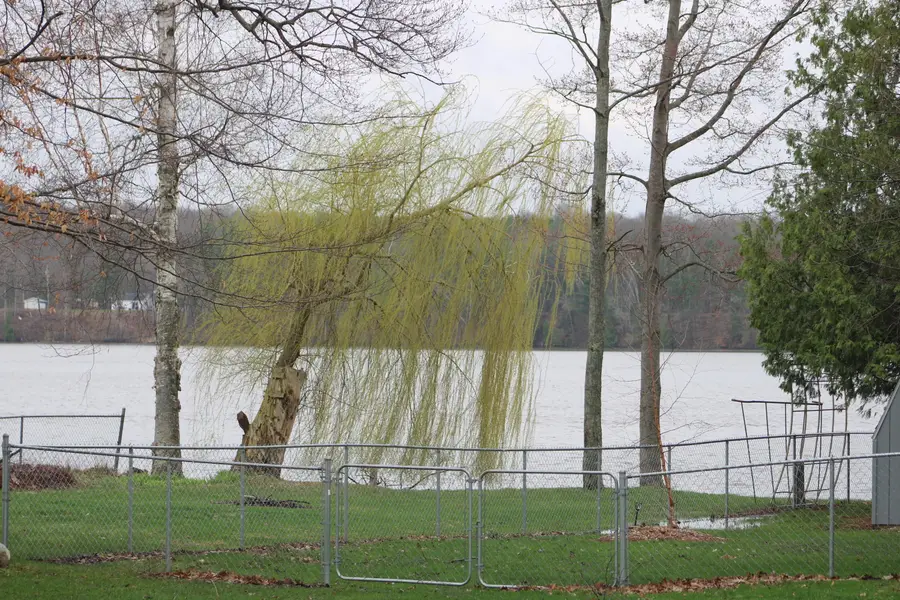 19449 Park Road, Big Rapids, MI 49307 - #2