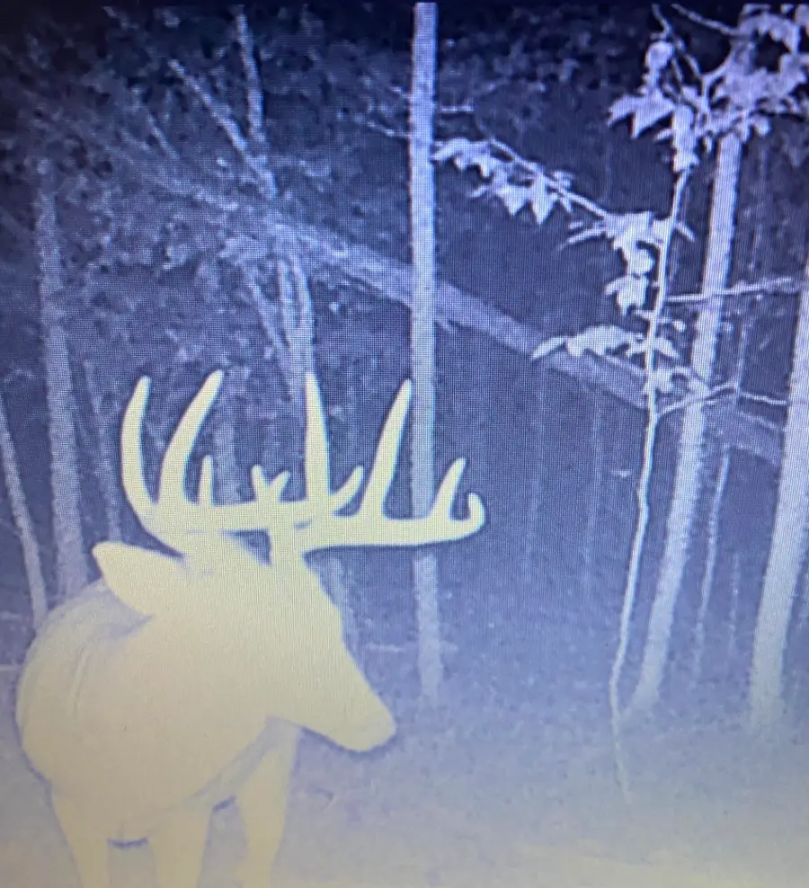 v/l Holibaugh Road, Springport, MI 49284 - #2