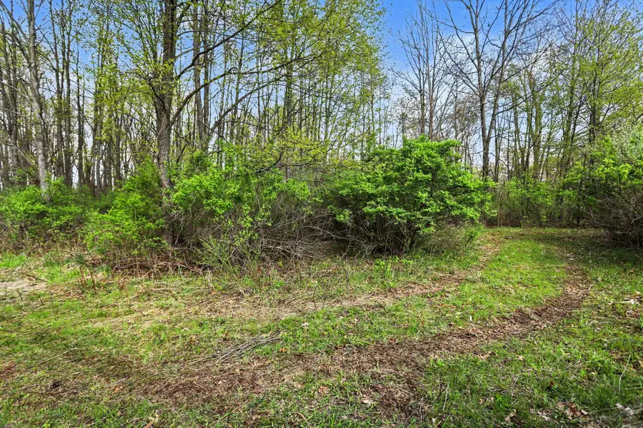 425 Olivet Road Road, Bellevue, MI 49021 - #2