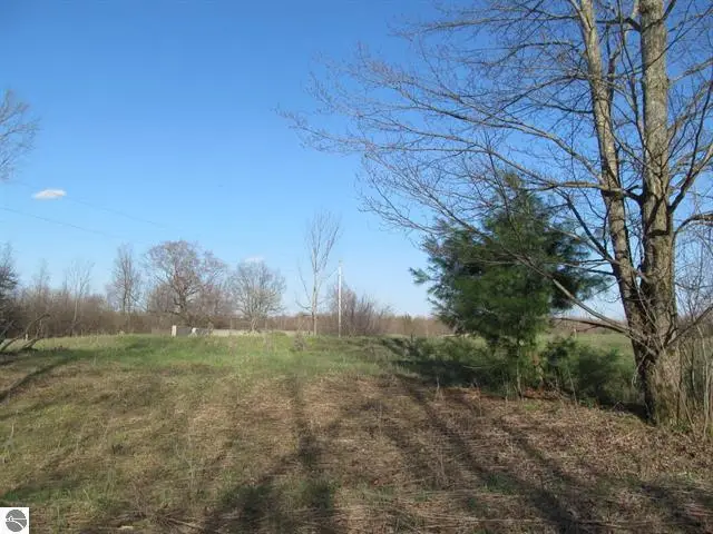 000 90th Avenue, Evart, MI 49631 - #1