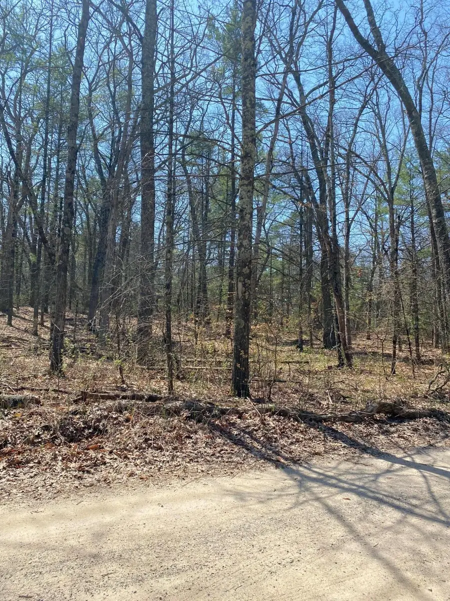 VL 16th Street, Twin Lake, MI 49457 - #2