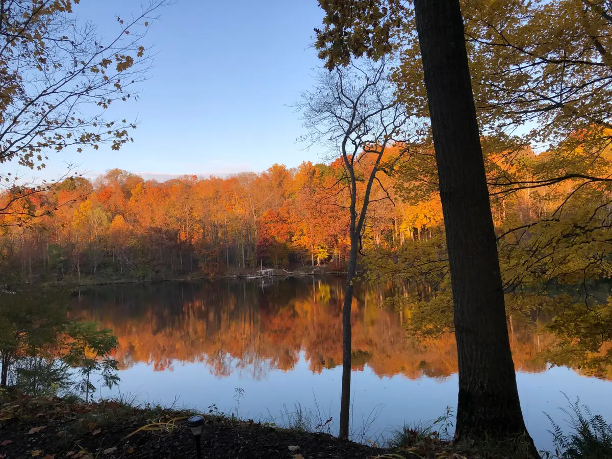 4336 Hills Haven Road, Buchanan, MI 49107 - #1