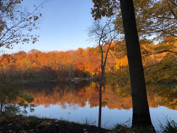 4336 Hills Haven Road, Buchanan, MI 49107