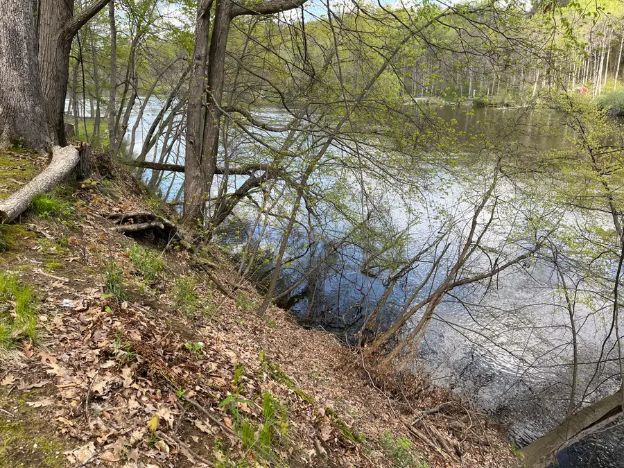 4336 Hills Haven Road, Buchanan, MI 49107 - #3