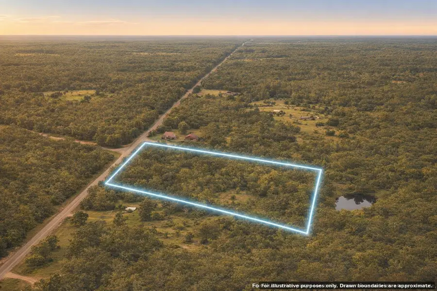 17729 5 Mile Highway, Onaway, MI 49765 - #2