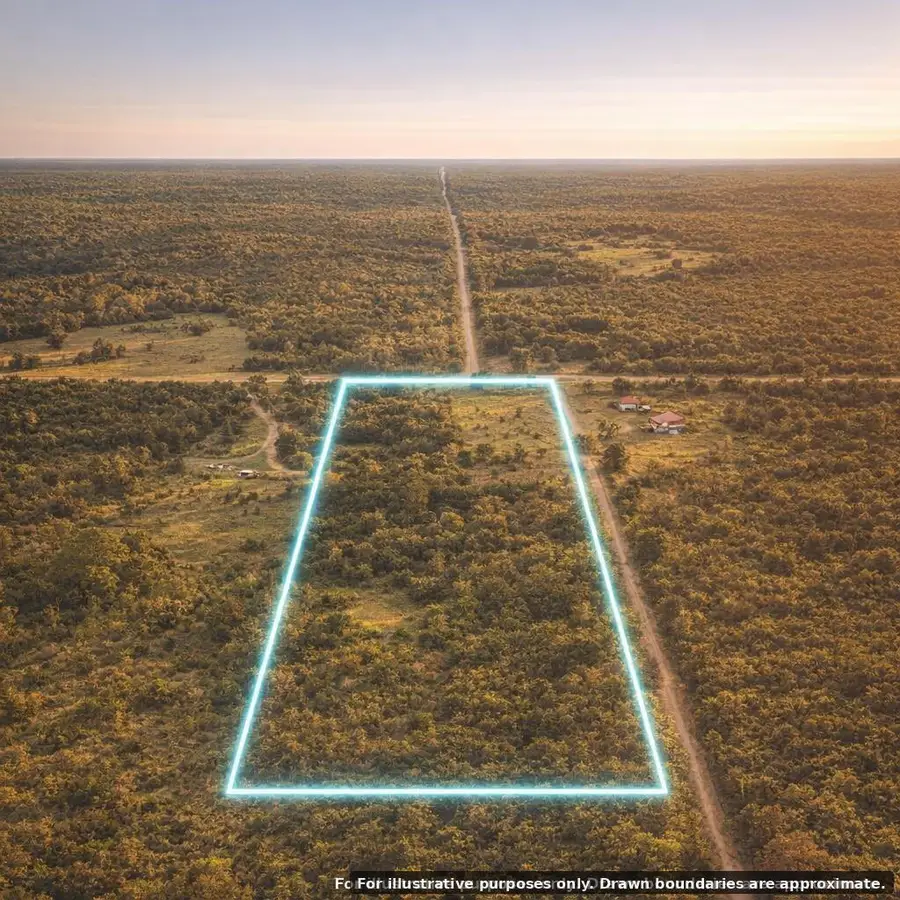 17729 5 Mile Highway, Onaway, MI 49765 - #3