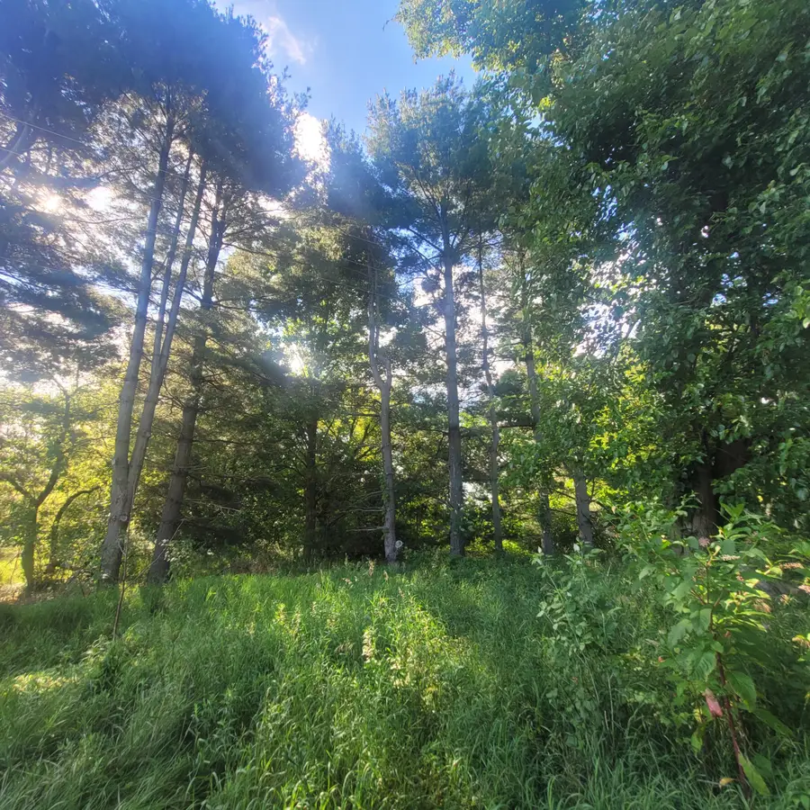 6797 Devils Lake Highway, Manitou Beach, MI 49253 - #2