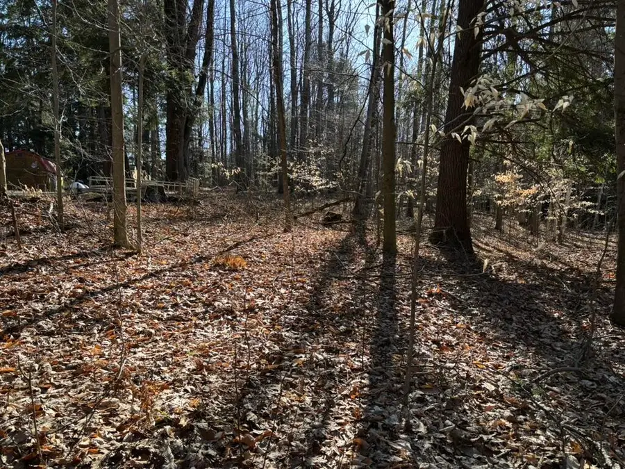 VL Lot 811 Miramichi Drive, Evart, MI 49631 - #2