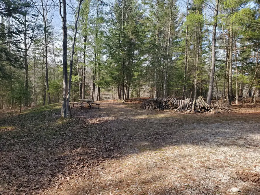 Eagles Nest Way, Gladwin, MI 48624 - #3