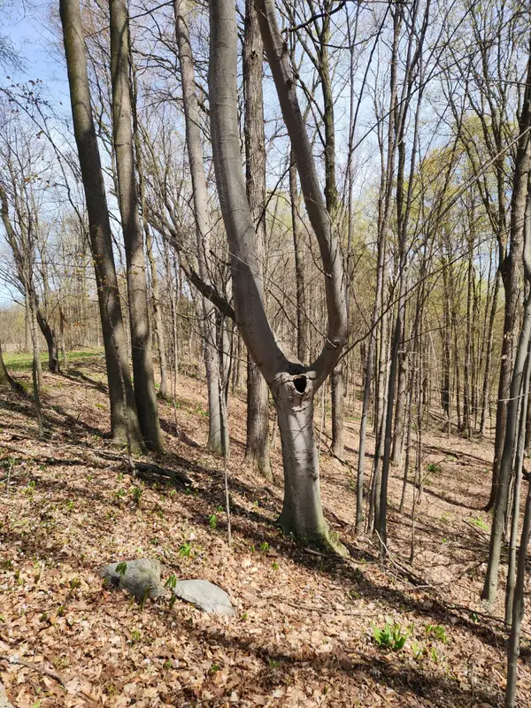 234 180th Avenue, Hersey, MI 49639