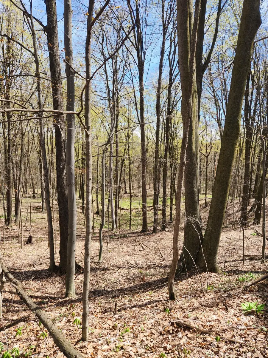 234 180th Avenue, Hersey, MI 49639 - #2