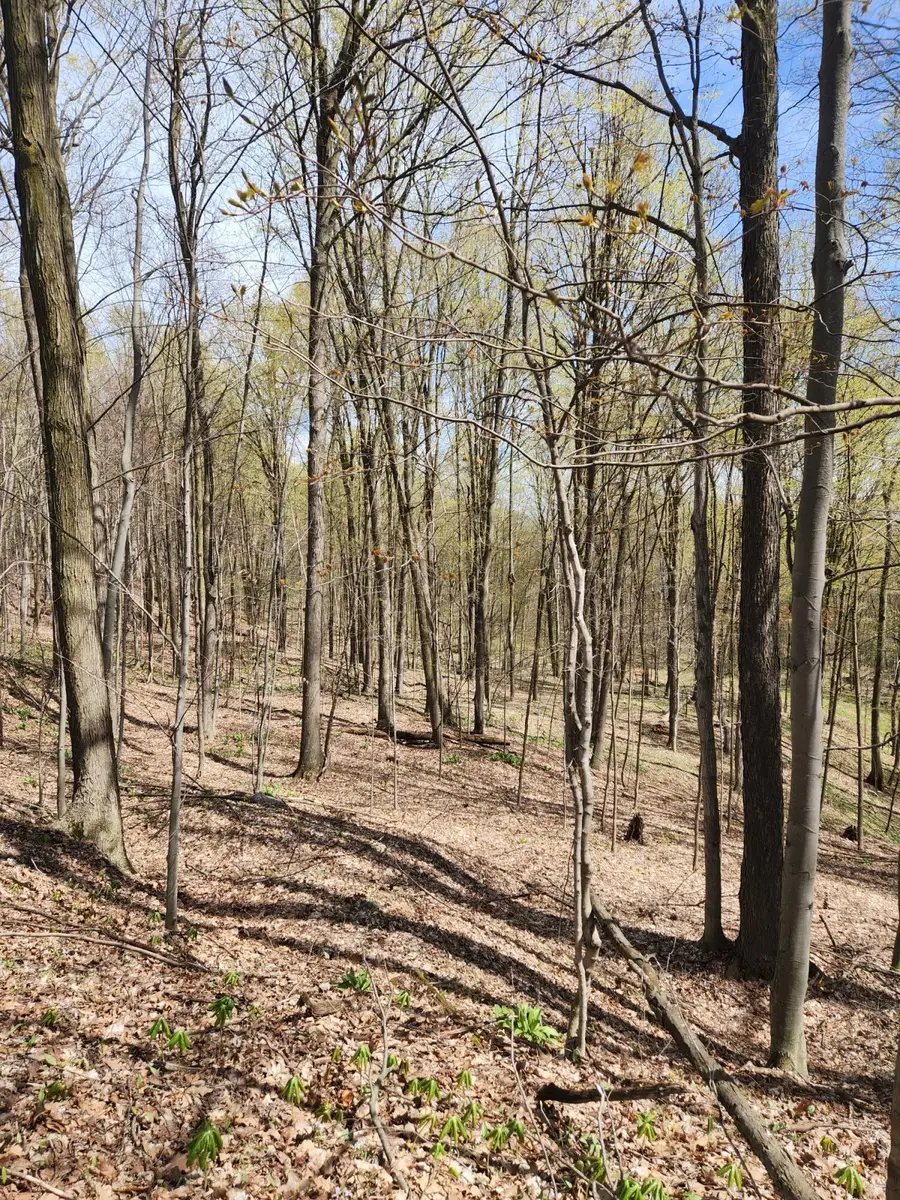 234 180th Avenue, Hersey, MI 49639 - #3