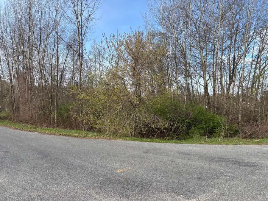 V/L W Melody Lane, Hart, MI 49420 - #3