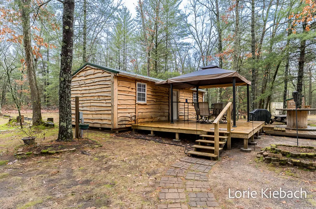 3710 E Us 10, Chase, MI 49623 - #1