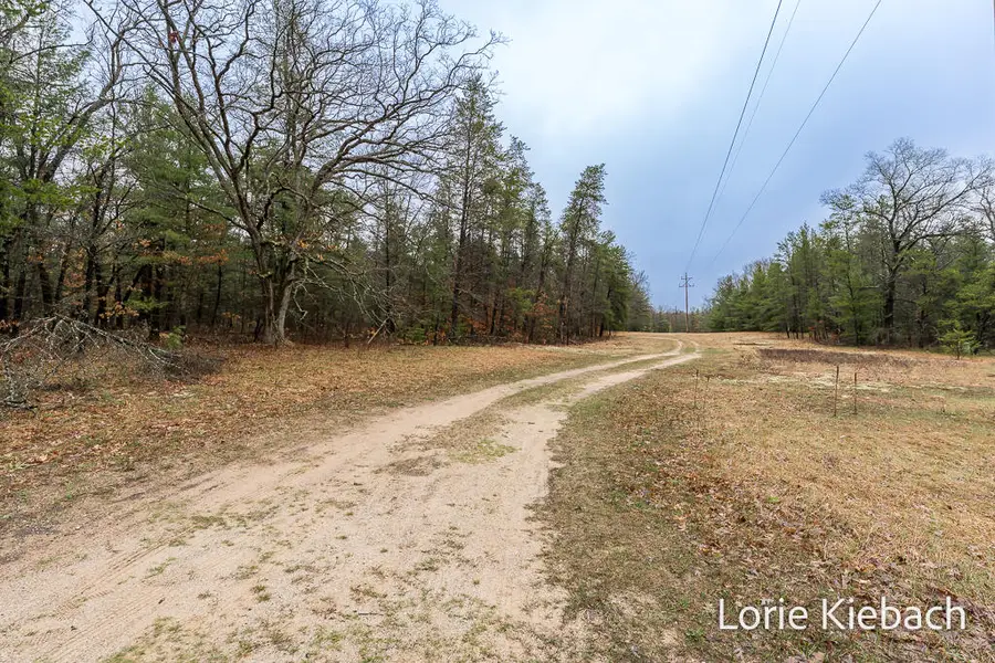 3710 E Us 10, Chase, MI 49623 - #2