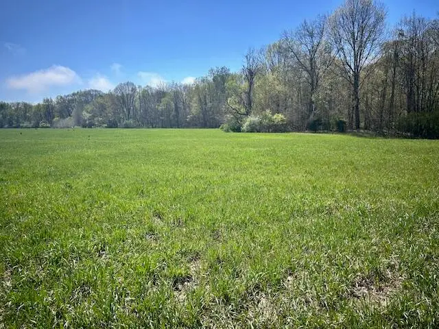 Parcel 2 70th Street, South Haven, MI 49090 - #1