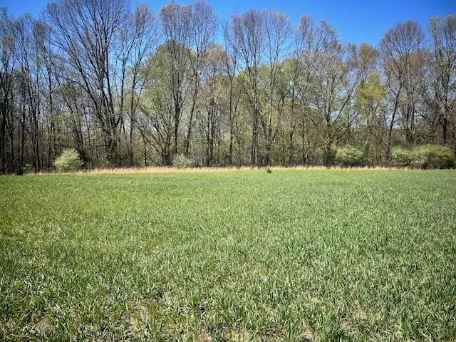 Parcel 2 70th Street, South Haven, MI 49090 - #2