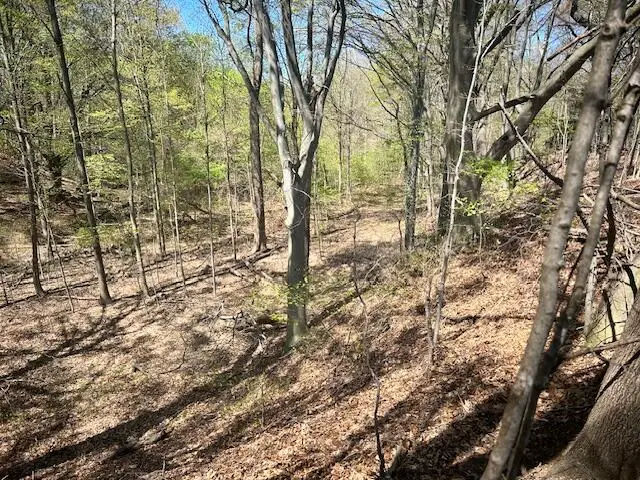 Parcel 2 70th Street, South Haven, MI 49090 - #3