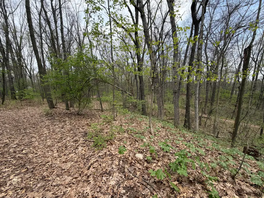 5241 Moscow Road, Spring Arbor, MI 49283 - #3