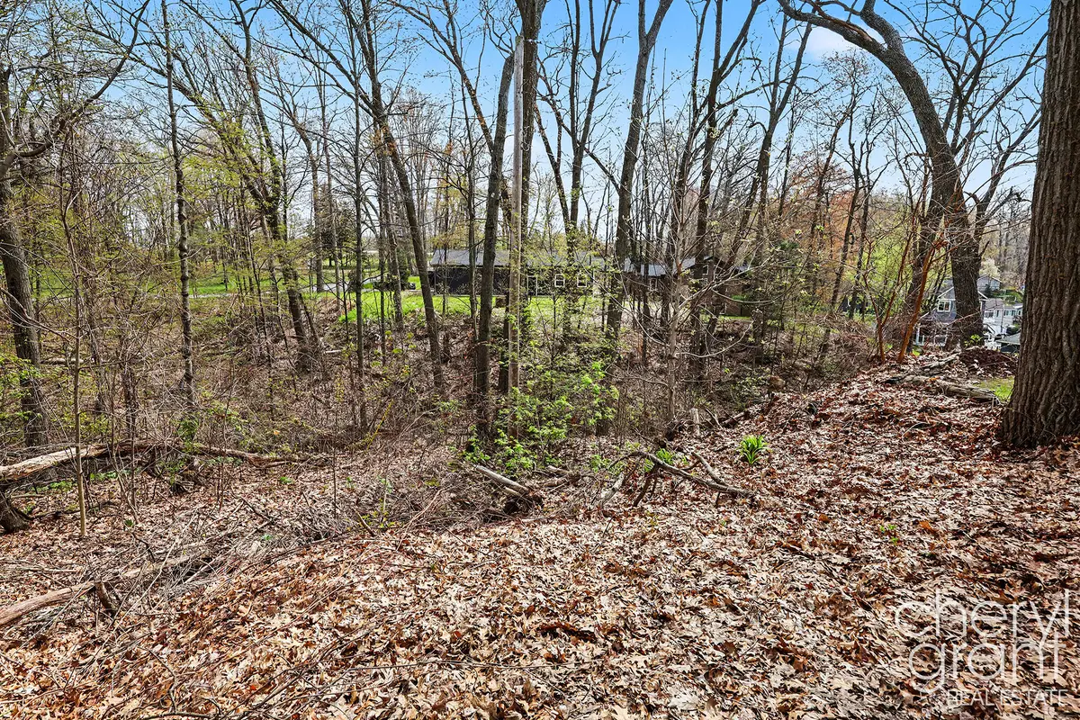 7406 Ravine Drive Ne, Belding, MI 48809 - #1