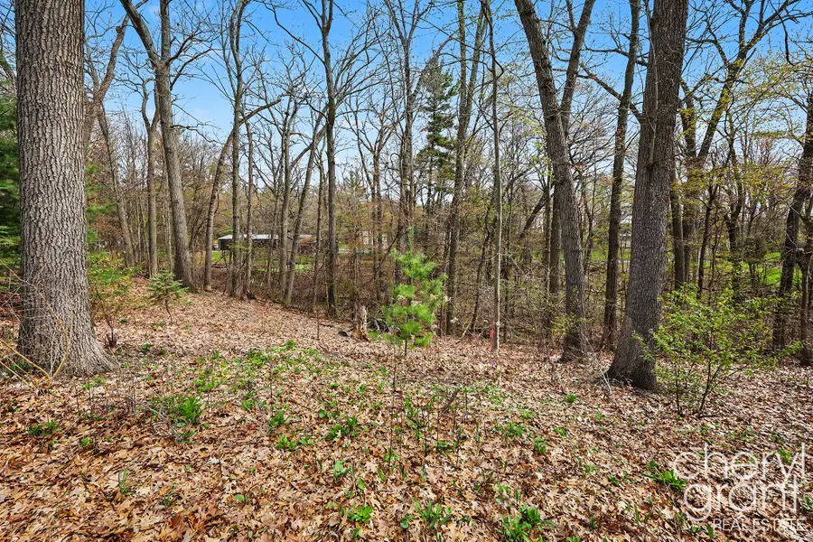 7406 Ravine Drive Ne, Belding, MI 48809 - #3