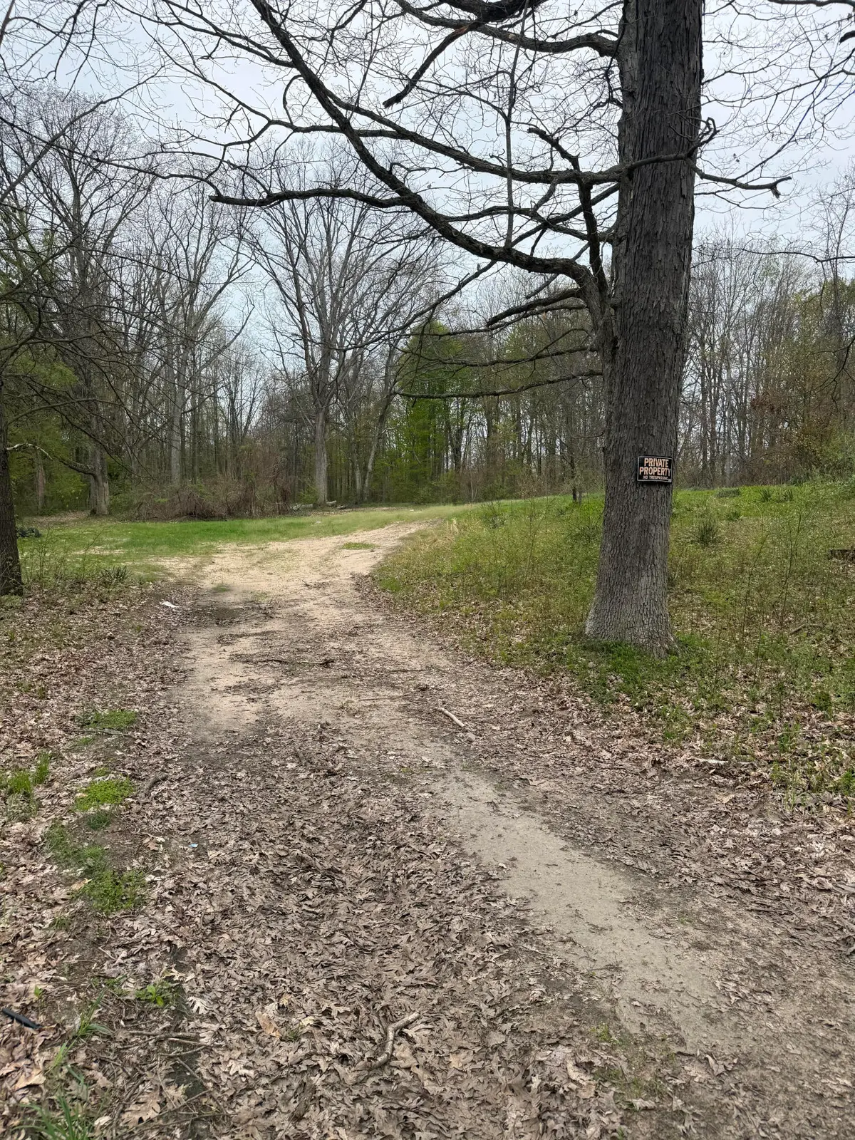 00360 51 1/2 Street, Grand Junction, MI 49056 - #1