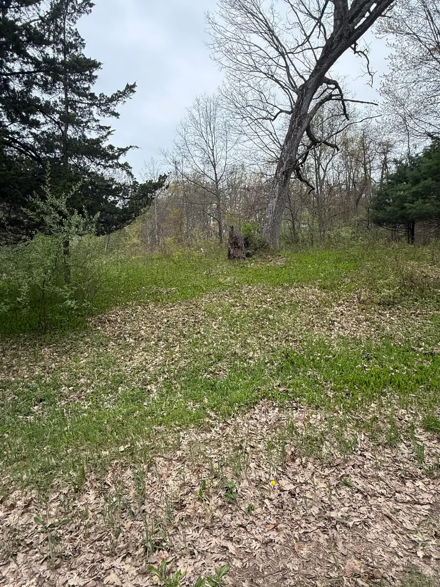 00360 51 1/2 Street, Grand Junction, MI 49056 - #2