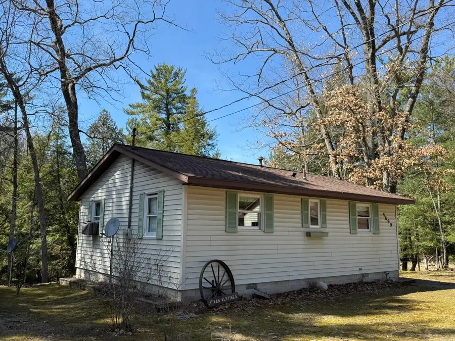 4699 N Able Road, Irons, MI 49644 - #2
