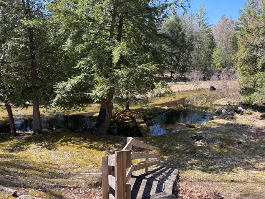 4699 N Able Road, Irons, MI 49644 - #3