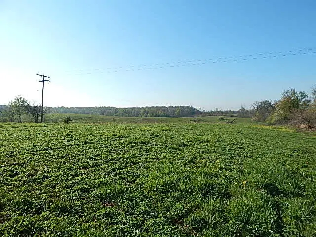 8833 W Territorial Road, Camden, MI 49232 - #1