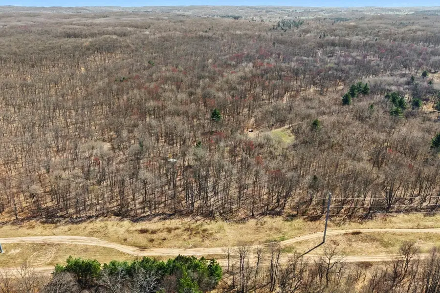 VL N Pine Avenue, Big Rapids, MI 49307 - #2