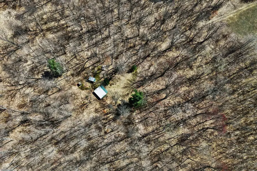 VL N Pine Avenue, Big Rapids, MI 49307 - #3