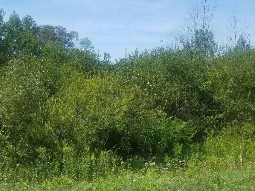 V/L S Marlene Street #Lot 16, Rothbury, MI 49452 - #1