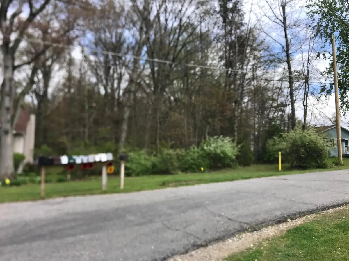 51427 Pine Street, Dowagiac, MI 49047 - #1